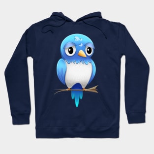 Bluebird Hoodie